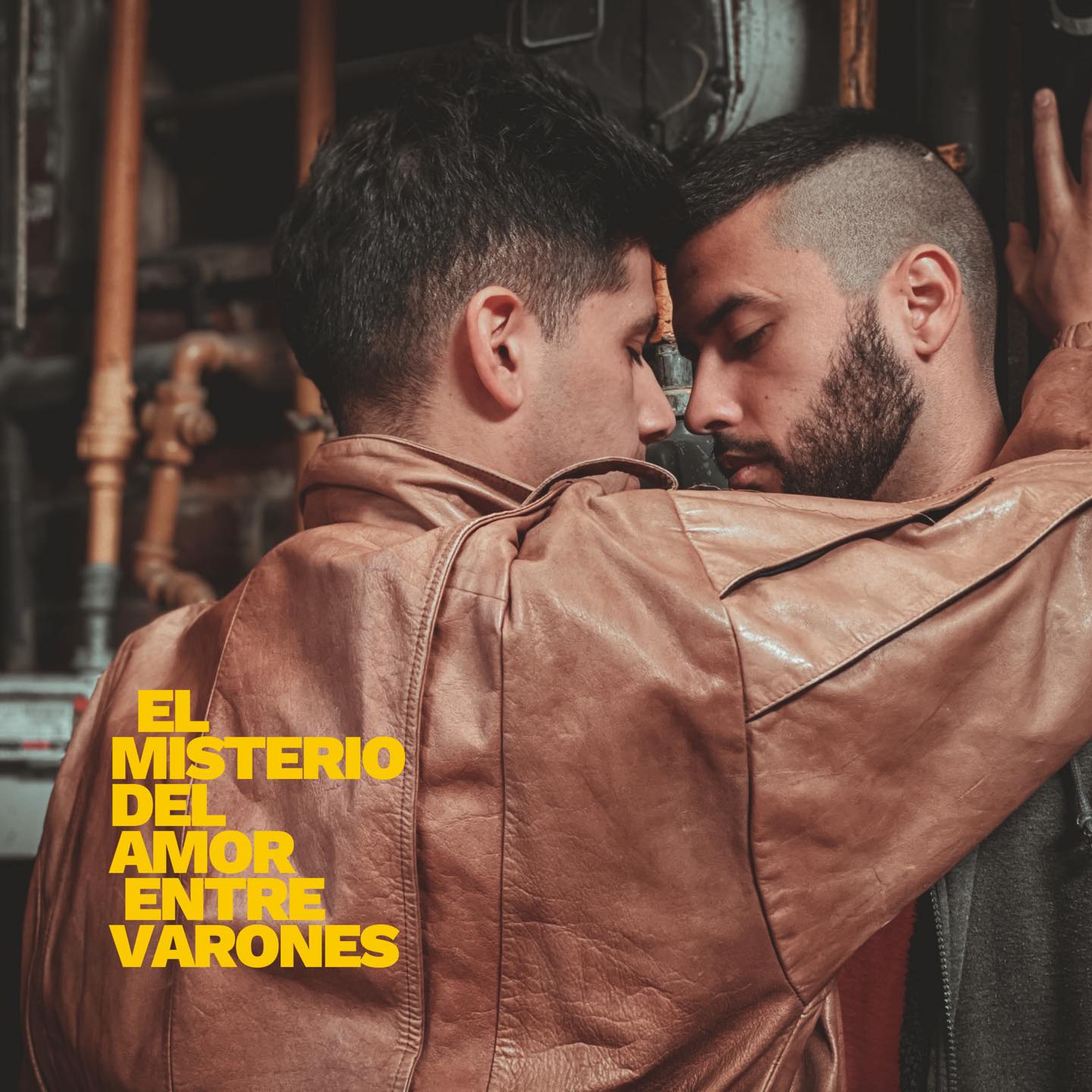 Estamos acostumbrados a que la pantalla nos hable. Sobre “El misterio del amor entre varones”